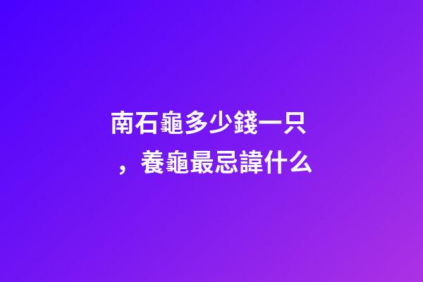 南石龜多少錢一只，養龜最忌諱什么